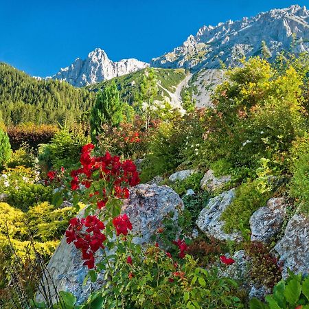 Pension Stoffenbauer Ramsau am Dachstein Zewnętrze zdjęcie