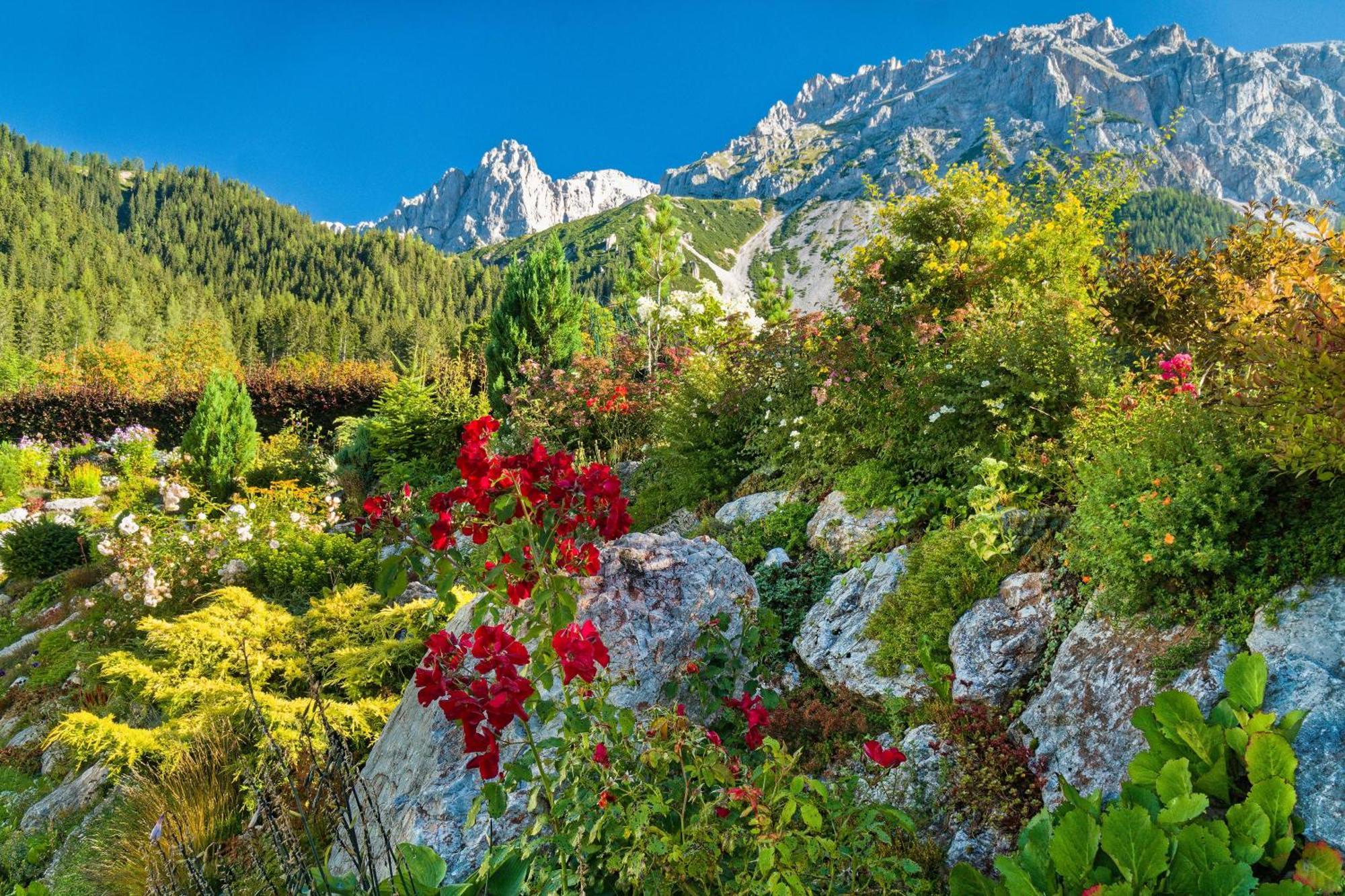 Pension Stoffenbauer Ramsau am Dachstein Zewnętrze zdjęcie