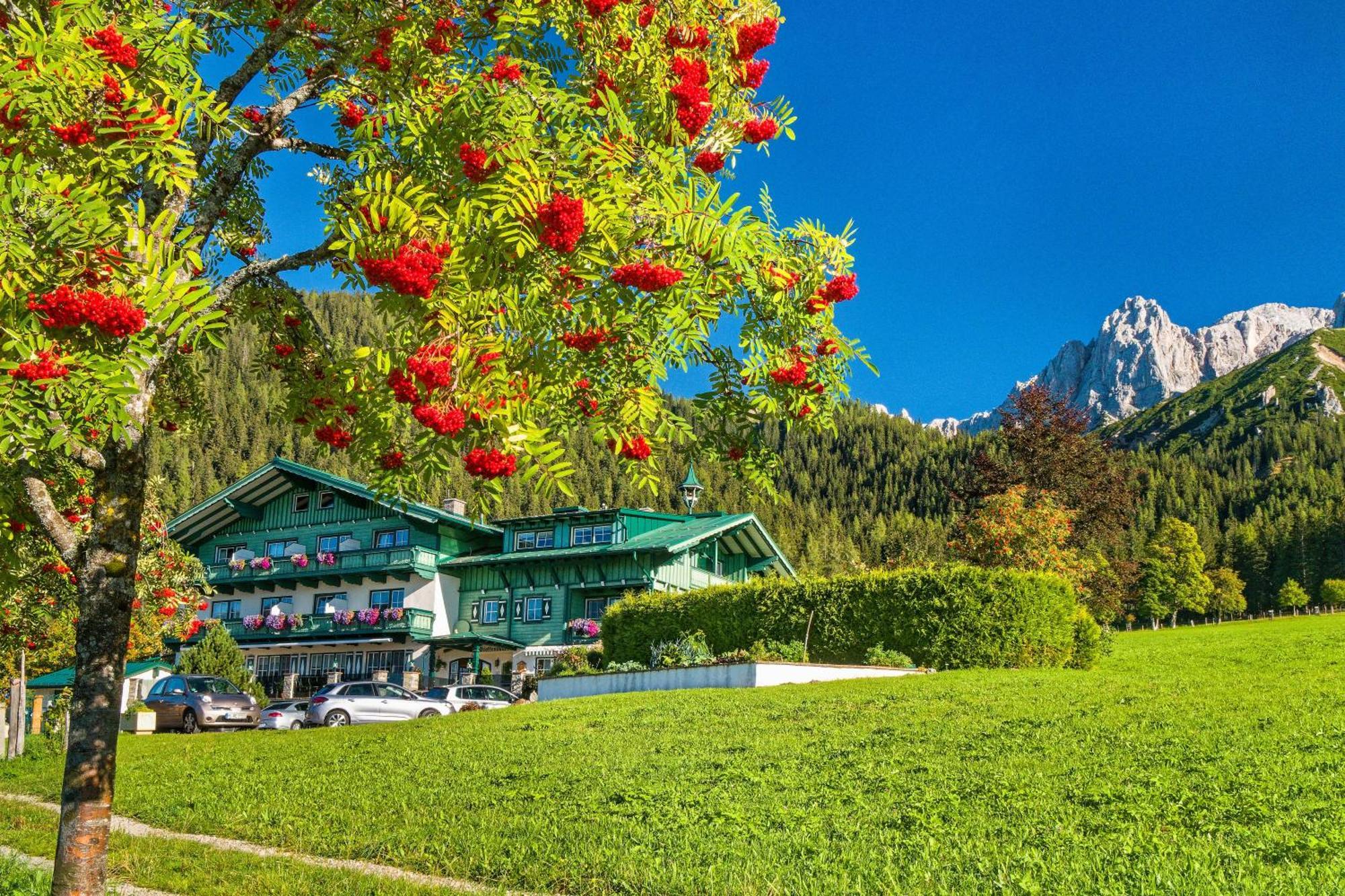 Pension Stoffenbauer Ramsau am Dachstein Zewnętrze zdjęcie