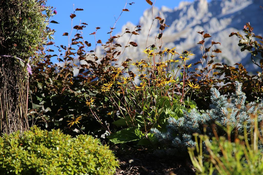 Pension Stoffenbauer Ramsau am Dachstein Zewnętrze zdjęcie